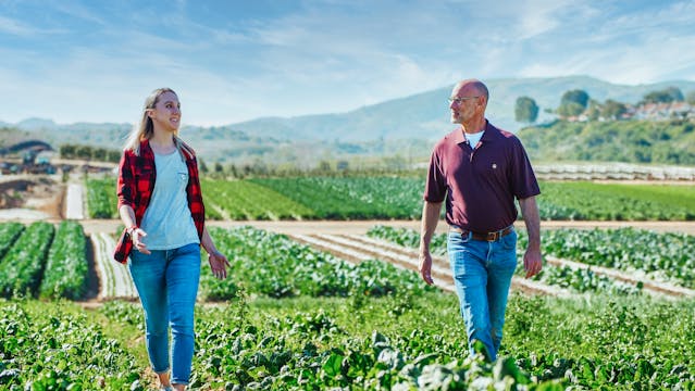 Embrace sustainable agriculture and organic farming at Good Food Village